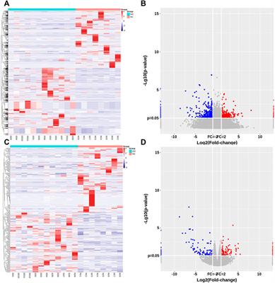 Identification of lncRNA and mRNA Expression Profile in Relapsed Graves’ Disease